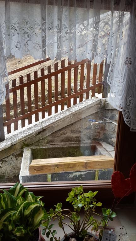Ospitalita Diffusa Laste Dolomites - Cesa Murer Pallua Exterior foto